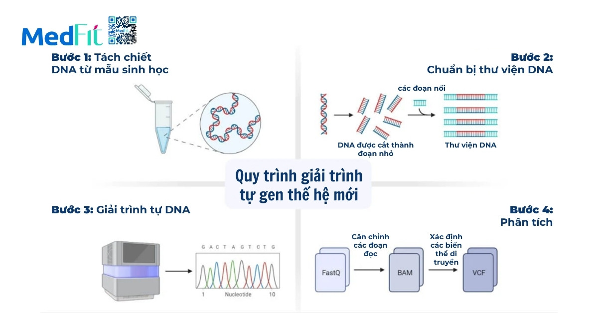 quy trình các bước thực hiện kỹ thuật giải trình tự gen thế hệ mới