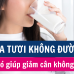 Sữa tươi không đường có giúp giảm cân không?