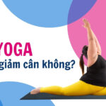 7 bài tập yoga giúp giảm cân hiệu quả 2 Tập yoga có giúp giảm cân không?