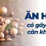 Top các thực phẩm dễ gây tăng cân 2 Ăn hạt có gây tăng cân không?