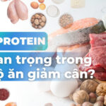 Danh sách thực phẩm giàu protein ít calo hỗ trợ giảm mỡ, giữ cơ bền vững 3 Tại sao protein lại quan trọng trong chế độ ăn giảm cân?