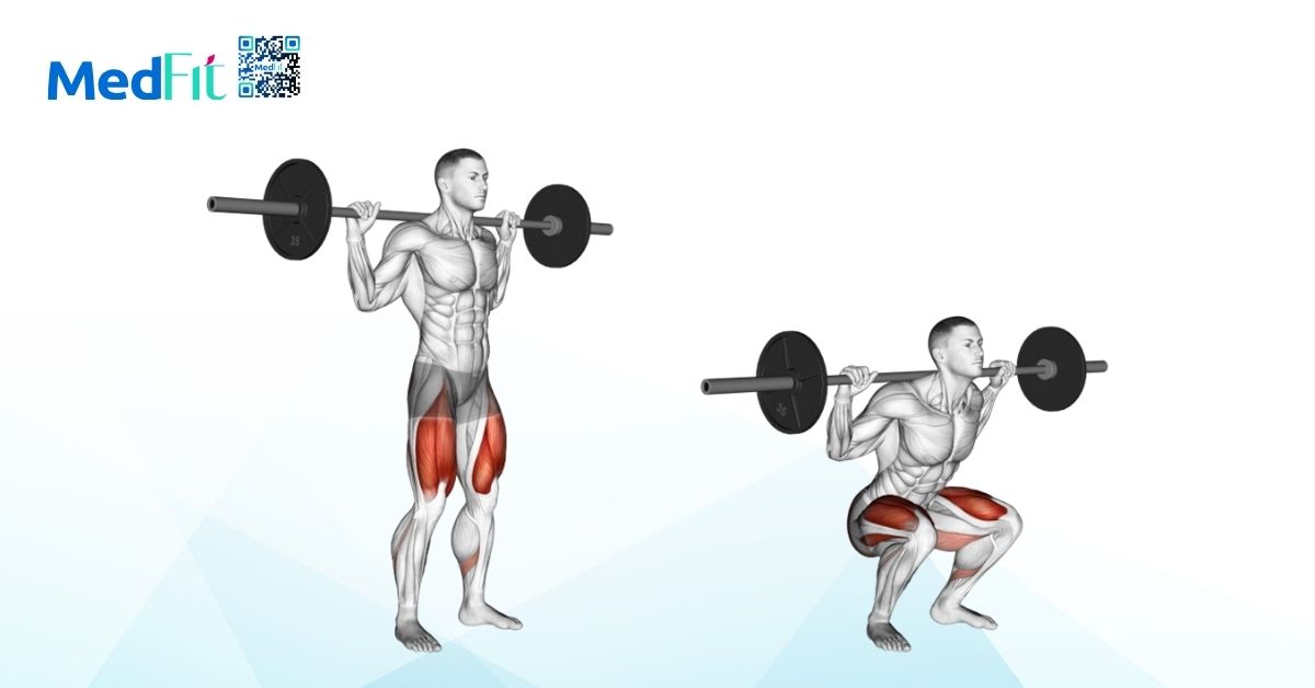 bài tập barbell back squat