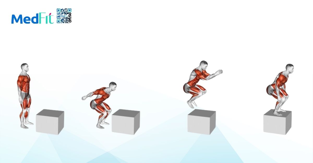 bài tập box jump