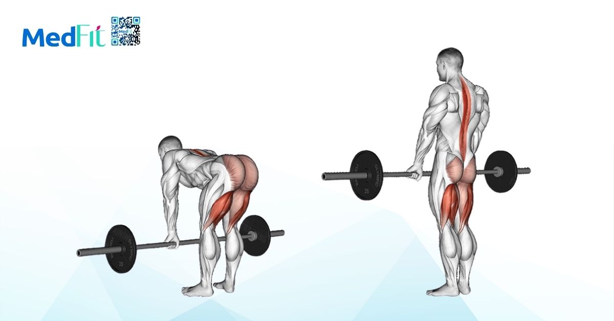 bài tập deadlift