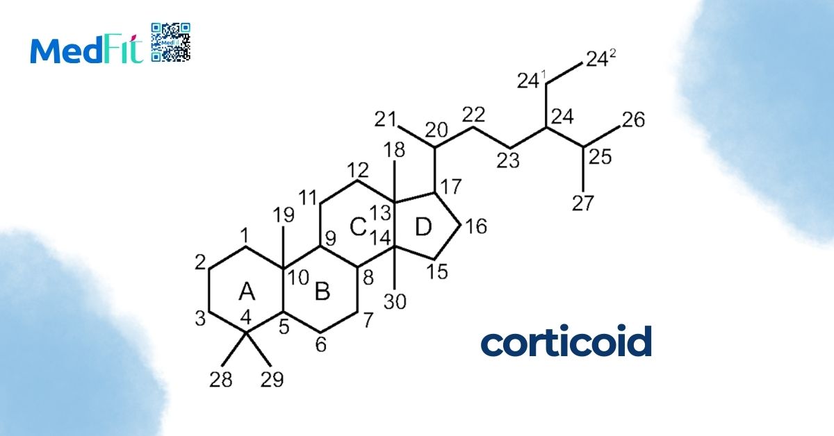 công thức phân tử của corticoid