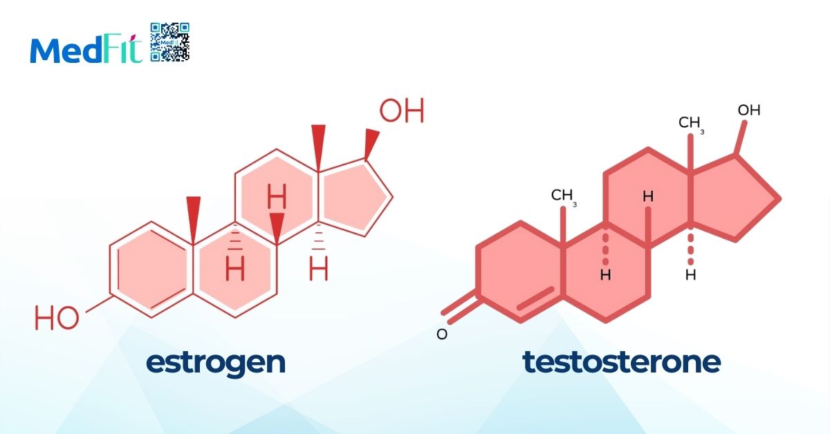 công thức phân tử của estrogen và testosterone