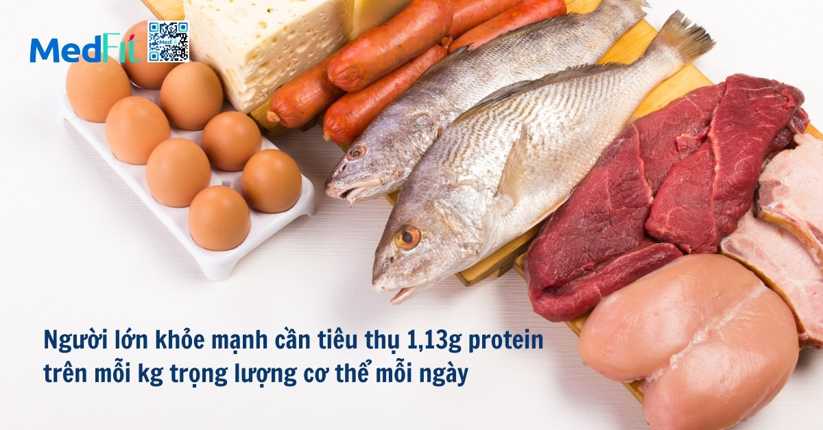 người lớn khỏe mạnh cần tiêu thụ 1,13g protein trên mỗi kg cân nặng mỗi ngày