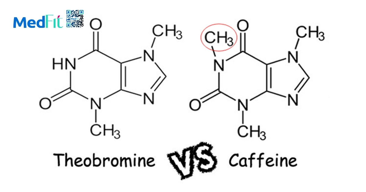 theobromine và caffeine