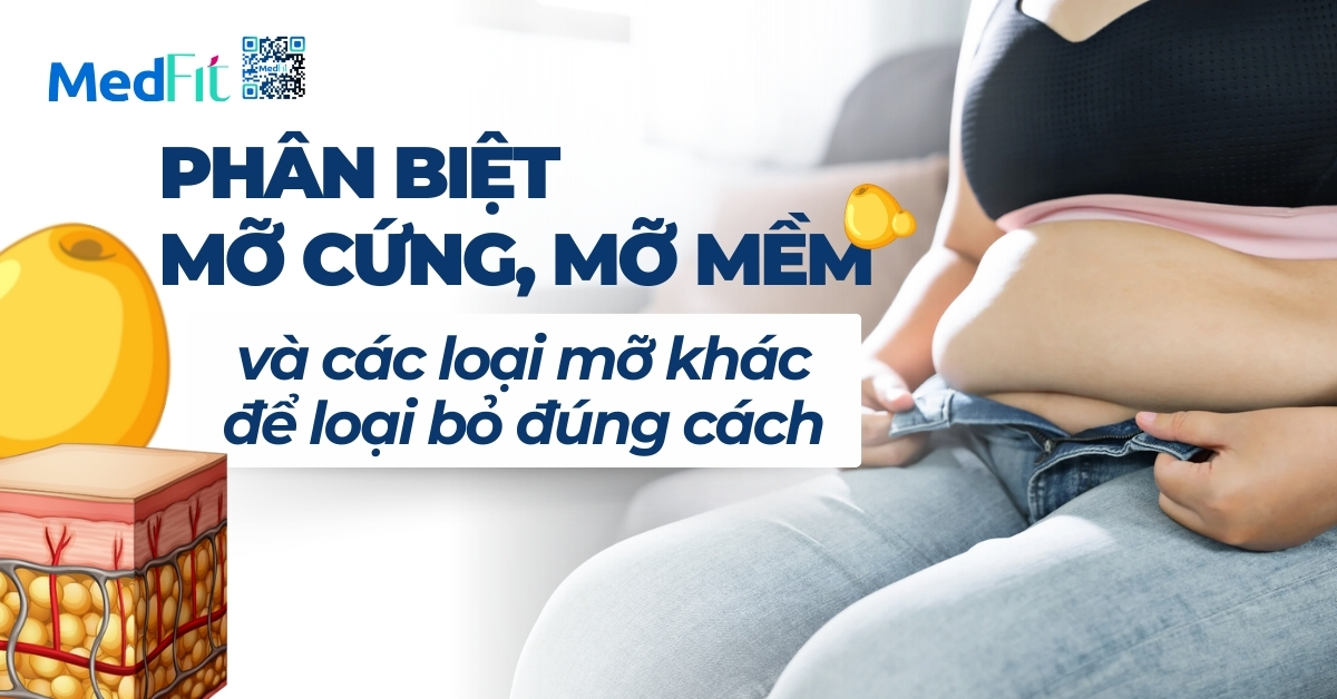 phân biệt mỡ cứng, mỡ mềm và các loại mỡ khác