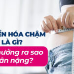 Chuyển hóa chậm là gì? Ảnh hưởng ra sao đến cân nặng?