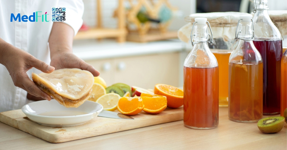 hình minh họa trà kombucha