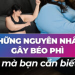 Những nguyên nhân gây béo phì mà bạn cần biết