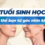 Mối liên hệ giữa béo phì và lão hoá: Hiểu đúng để sống khỏe và trẻ lâu hơn 9 Tuổi sinh học: hiểu cơ thể bạn từ góc nhìn khoa học