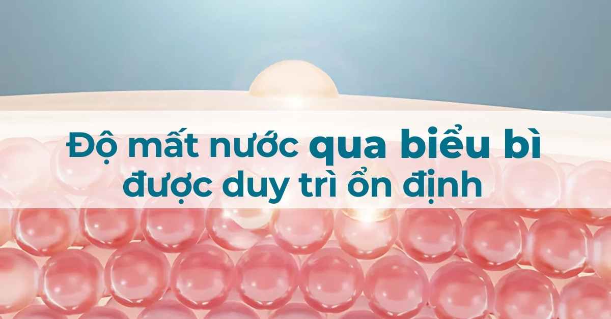 Duy trì độ mất nước