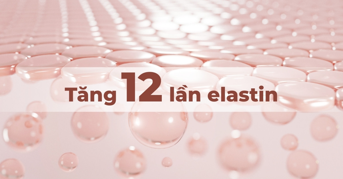 Tăng 12 lần elastin