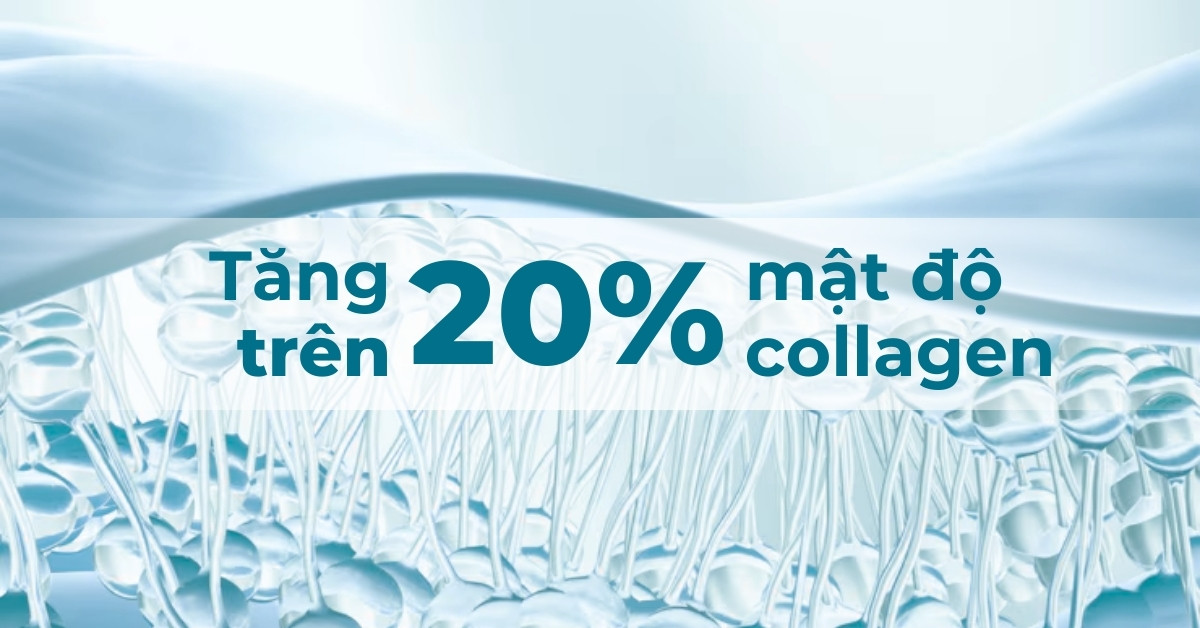 Tăng mật độ collagen