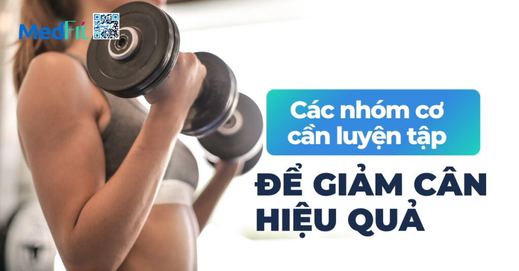 các nhóm cơ cần luyện tập để giảm cân hiệu quả
