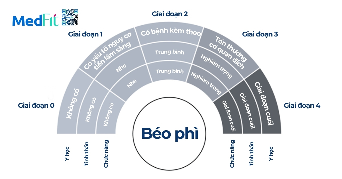 Các giai đoạn tiến triển của béo phì 3 hệ thống phân giai đoạn béo phì edmonton