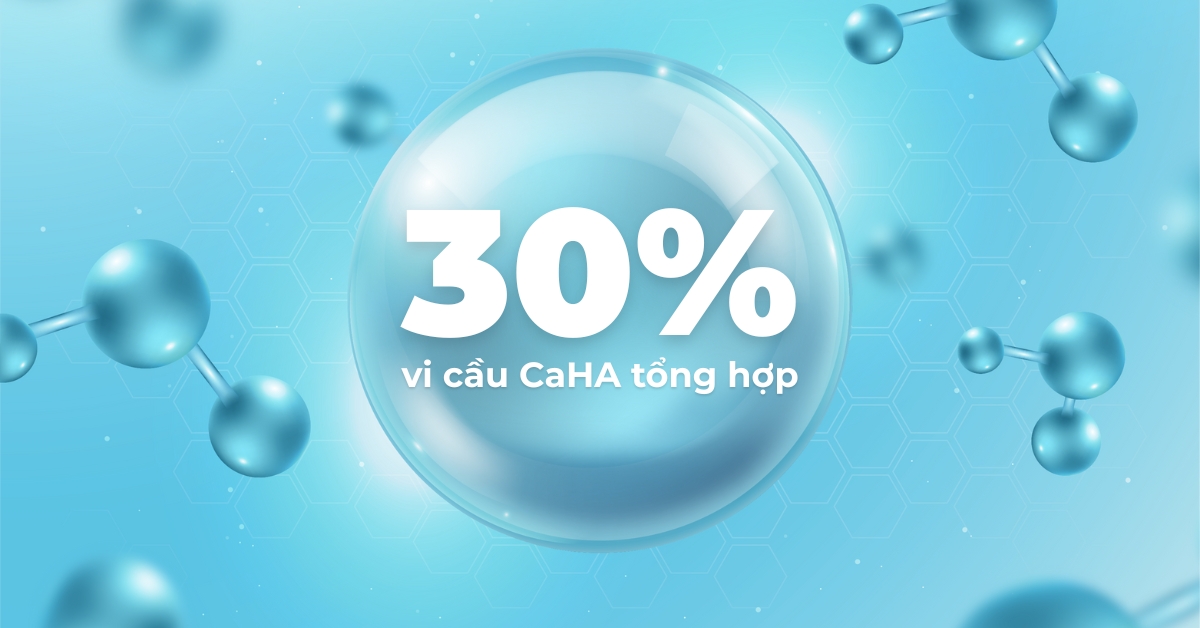 Vi cầu CaHA