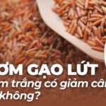 Gạo lứt rong biển ăn liền có giảm cân không? Lưu ý quan trọng cho người đang ăn kiêng 5 Ăn cơm gạo lứt thay cơm trắng có giảm cân tốt hơn không?