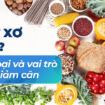 Chất xơ là gì? Phân loại và vai trò trong giảm cân