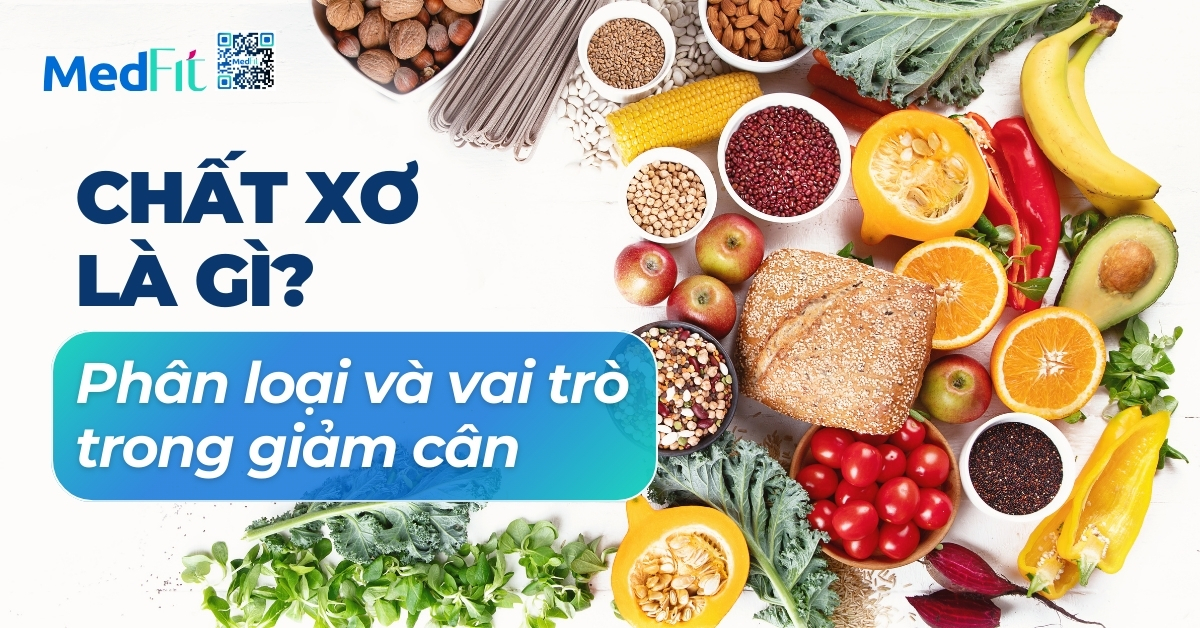 chất xơ là gì phân loại và vai trò trong giảm cân