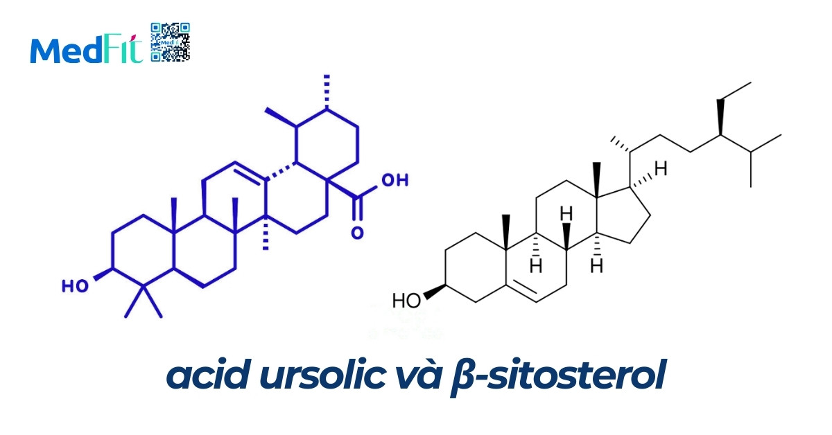 công thức phân tử của acid ursolic và β-sitosterol