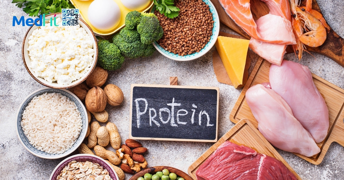 hình minh hoạ thực phẩm chứa protein