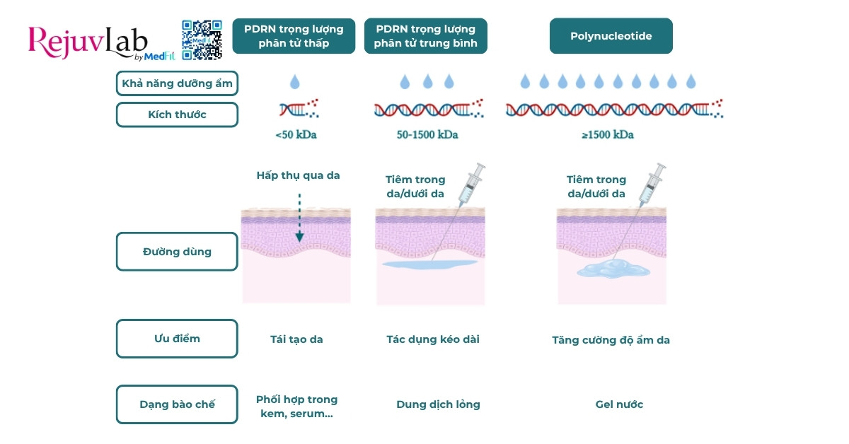 Rejuran Skin Healer – Giải pháp phục hồi và trẻ hoá da toàn diện 6 so sánh các pdrn và polynucleotide