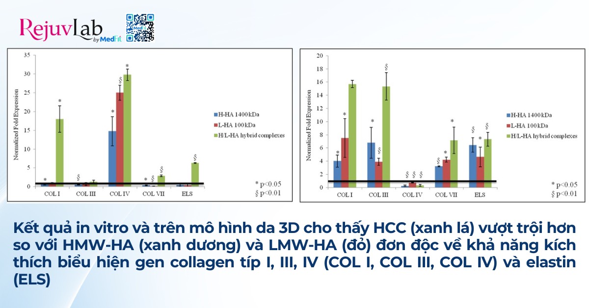 Hyaluronic acid là gì và ứng dụng trong thẩm mỹ da 7 sự kết hợp hyaluronic acid đa trọng lượng phân tử kích thích biểu hiện gen collagen tốt hơn