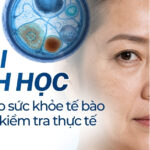 Tuổi sinh học: thước đo sức khỏe tế bào và cách kiểm tra thực tế