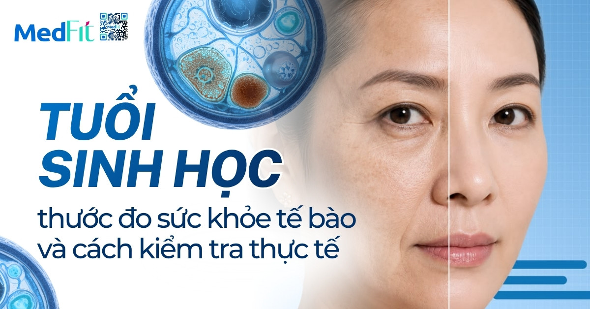 Kiến thức 46