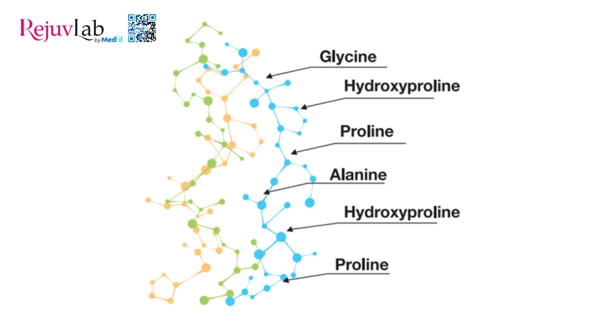 Peptidyal 86HX – Công thức phục hồi và tái tạo làn da tiên tiến 3 4 loại acid amin trong peptidyal
