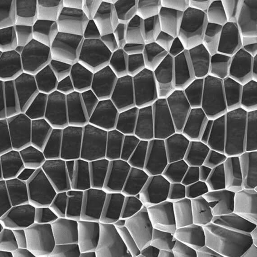 Scaffold-3D