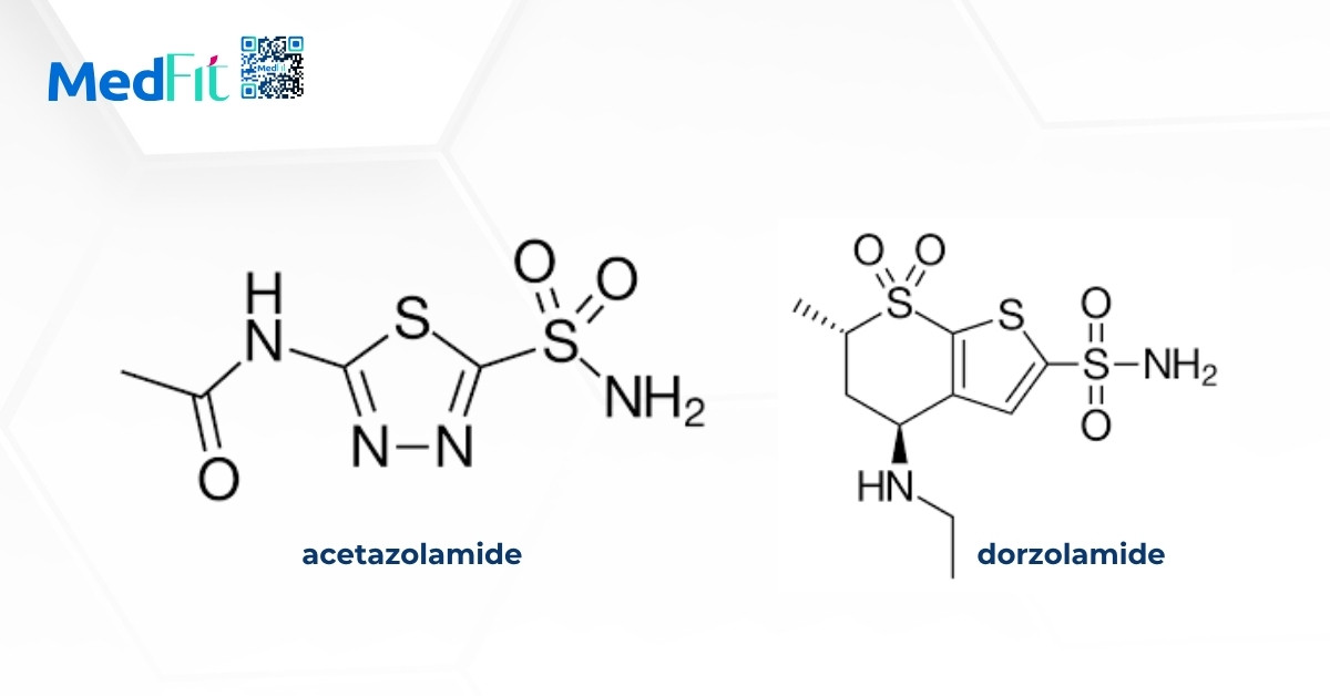 acetazolamide, dorzolamide