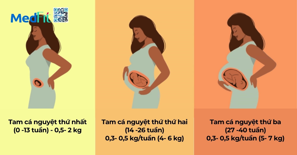 mức cân nặng cần tăng cho phụ nữ mang thai phân theo tam cá nguyệt