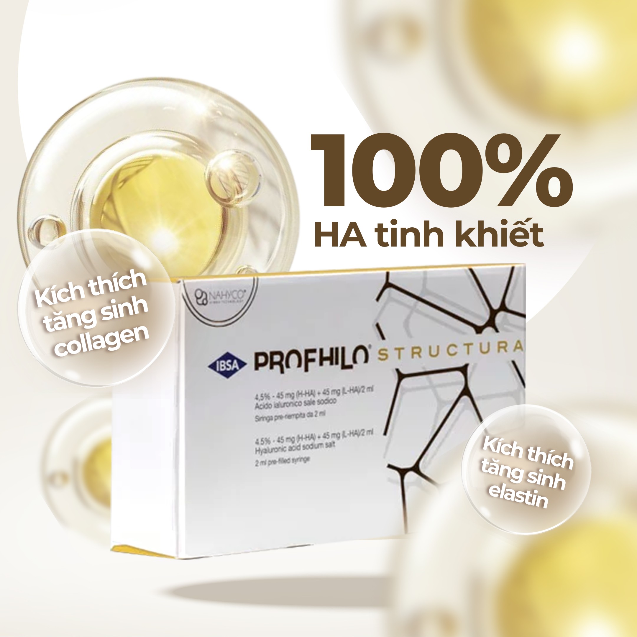 Profhili Structura