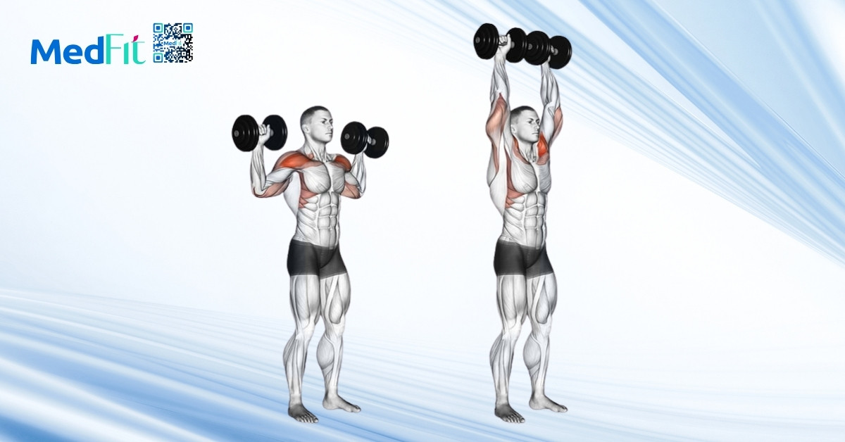 hình minh họa bài tập overhead press