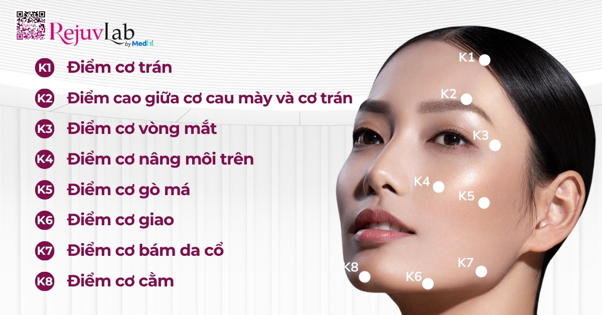 hình minh họa các điểm tiêm bap