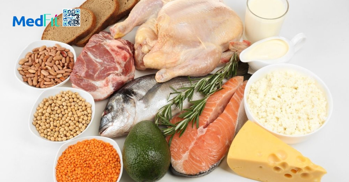 hình minh họa protein