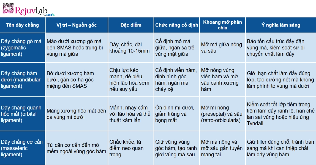 phân loại các cấu trúc neo giữ mô mặt