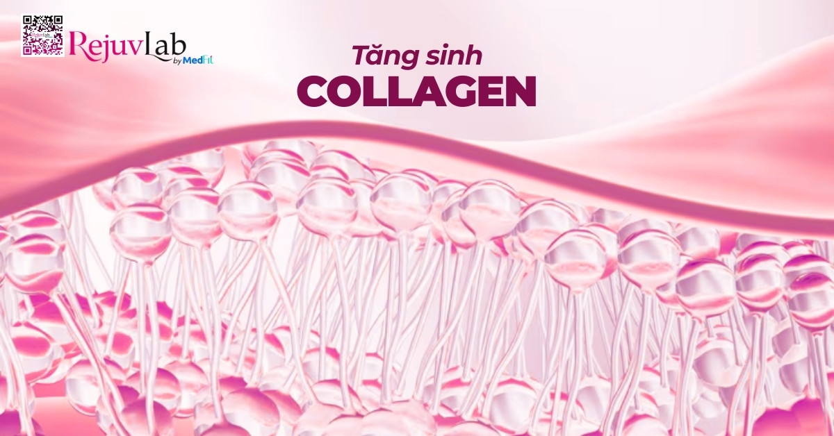 Restylane Vital và Restylane Vital Light: Restylane Skinboosters giúp khôi phục nền da khỏe mạnh từ sâu bên trong 2 hình minh họa tăng sinh collagen