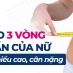 Số đo 3 vòng chuẩn của nữ theo chiều cao, cân nặng
