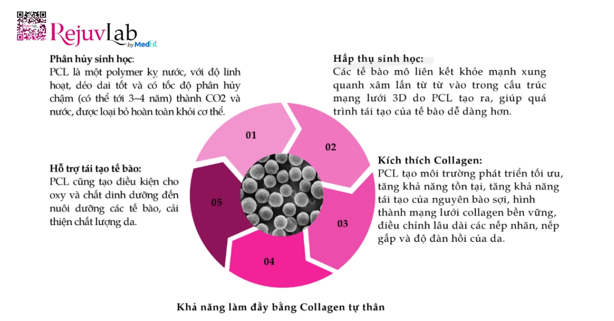Tổng quan về chất kích thích sinh học PCL trong da liễu thẩm mỹ 3 tác dụng của pcl