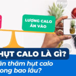 Lựa chọn chế độ ăn giảm cân phù hợp: khoa học và thực tiễn 1 Thâm hụt calo là gì? Nên ăn thâm hụt calo trong bao lâu?