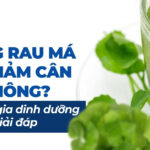 Uống rau má có giảm cân không? Chuyên gia dinh dưỡng giải đáp