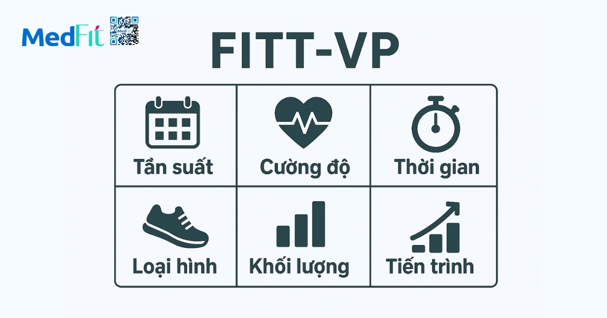 Áp dụng nguyên tắc FITT-VP đúng cách để đạt mục tiêu giảm cân lâu dài 1 FITT-VP là mô hình chuẩn quốc tế được sử dụng rộng rãi trong huấn luyện thể chất, giúp cá nhân hóa chương trình luyện tập dựa trên 6 yếu tố quan trọng