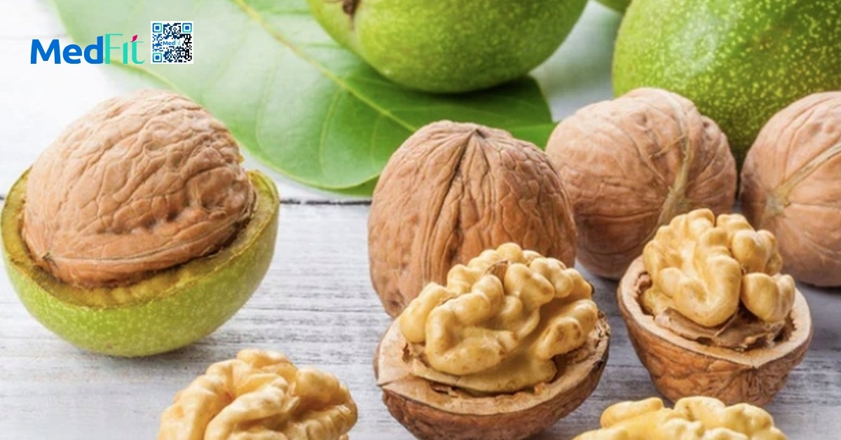 hình minh họa hạt và cacao