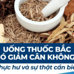 Uống thuốc bắc có giảm cân không? Thực hư và sự thật cần biết