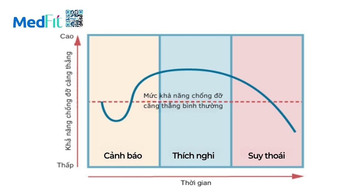 Khả năng thích nghi và nguyên lý quá tải tiến triển trong luyện tập để giảm cân 3 Nguyên lý này bắt nguồn từ mô hình thích nghi stress sinh học của Hans Selye (1936), bao gồm ba giai đoạn, cảnh báo, thích nghi và suy thoái
